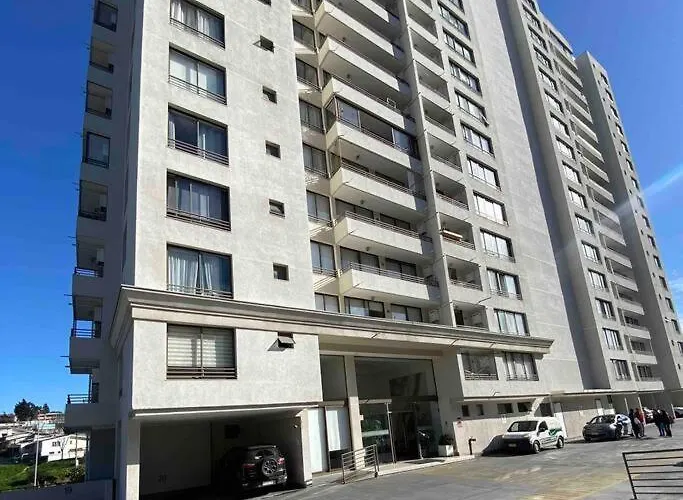 Lindo Departamento En Vina